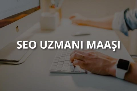 SEO Uzmanı Maaşları