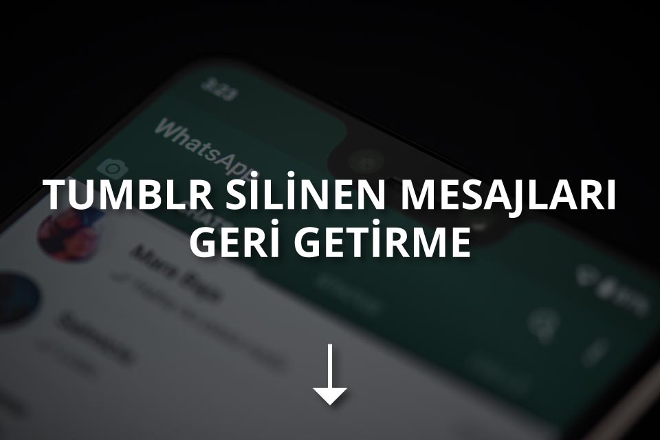 WhatsApp Silinen Mesajları Geri Getirme